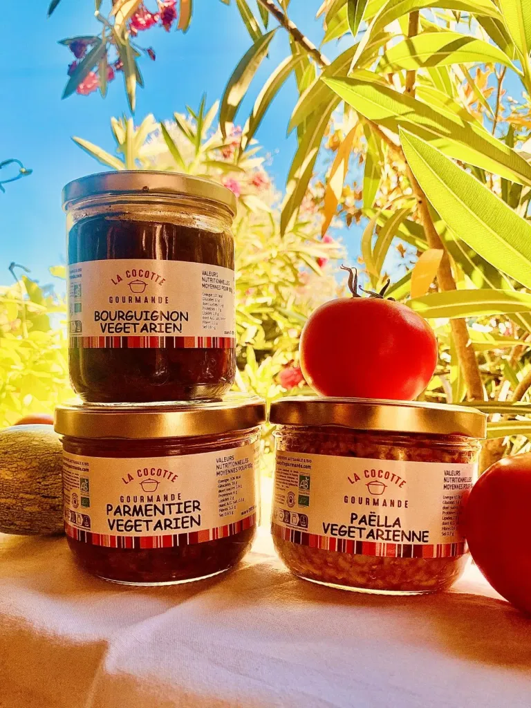 PARMENTIER VEGETARIEN 380G