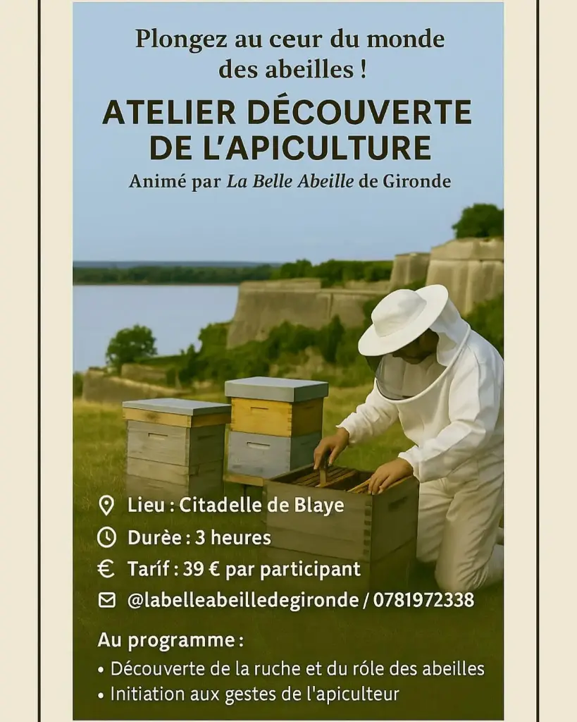 MIEL - ATELIER DECOUVERTE DE L'APICULTURE 