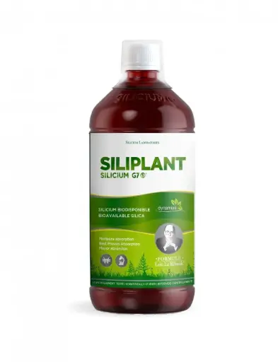 Siliplant Silicium G7